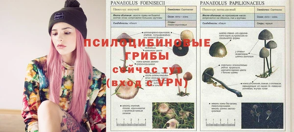 хмурый Протвино