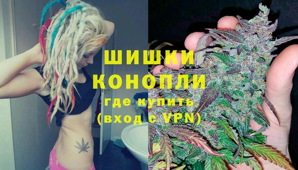 шишки Балабаново