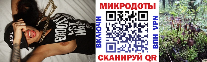 Псилоцибиновые грибы GOLDEN TEACHER  Свирск 